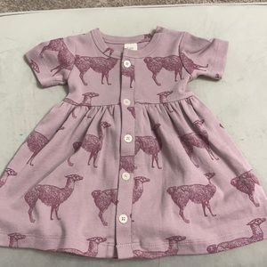 Kate Quinn llama dress